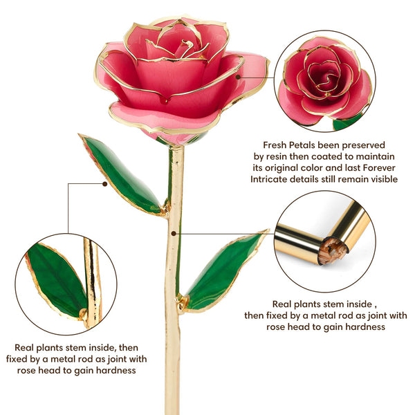 Ariceleo Gold Dipped Infinity Rose Last Forever Flower Decor, Birthday Gift for Women in Her Birthday Valentines Day Mothers Day, Resin Preserved Rose
