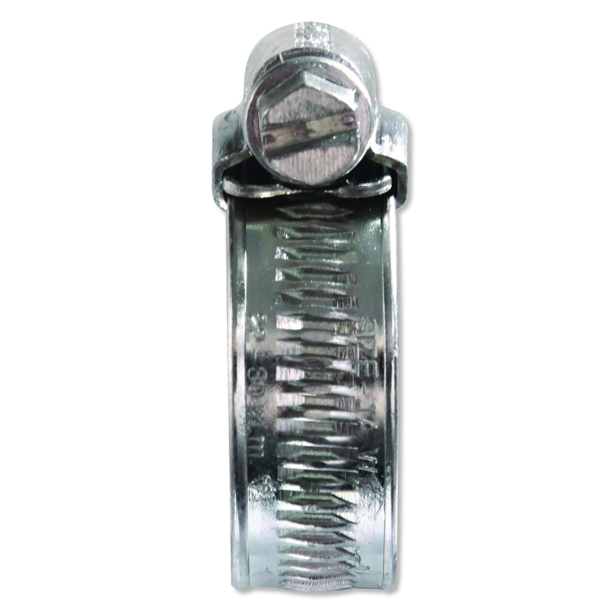 Eclipse Professional Tools ECW1-2A W1 Box of 10 35-50mm (1 ⅜" - 1 ¾") Mild Steel Worm Gear Hose Clamps