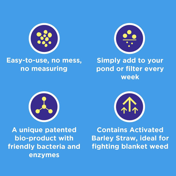 Goodbye Blanket Weed Treatment for Ponds 25g, Pack of 32 Sachets ? 100% Natural Pond Cleaner ? 1 Sachet Treats 1000 Gallons of Pond Water