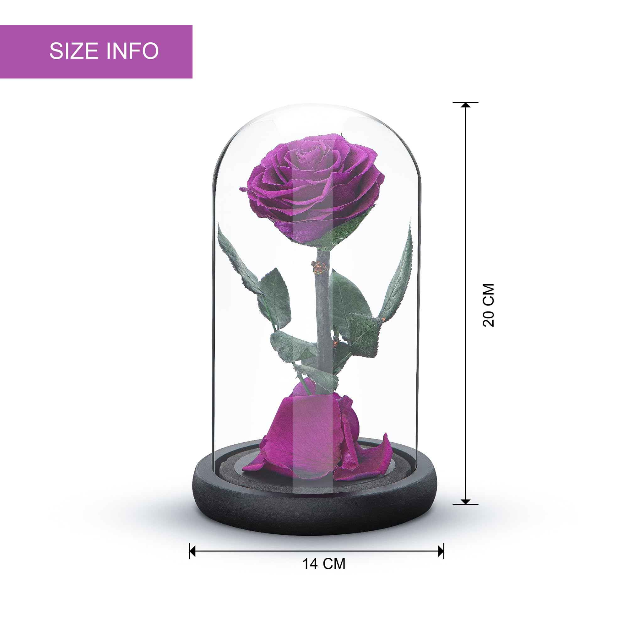 Eternal Forever Rose | Fresh Rose Gift | Single Rose Preserved for 5 Years | Handcrafted | Gifts for Women Birthday unique Unusual | Mothers Day,