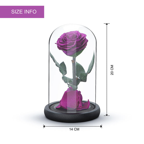 Eternal Forever Rose | Fresh Rose Gift | Single Rose Preserved for 5 Years | Handcrafted | Gifts for Women Birthday unique Unusual | Mothers Day,