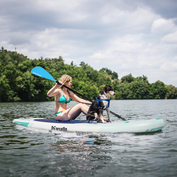 Baudelio Paddle Board, Inflatable Stand UP Paddle Board, 11’x 34”x 6” Paddle Board with Backpack, Hand Pump, Storage Bag, Phone Case, Ultra-Light Paddle Board for Adults