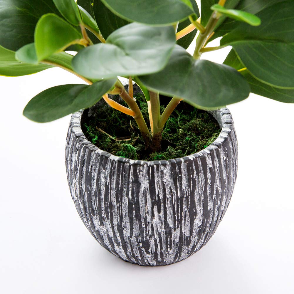 AlphaAcc Artificial Plants Real Looking and Touching Fake Plant Evergreen Plastic Fiddle Leaf Fig Plant with Rustic Black Cement Planter for