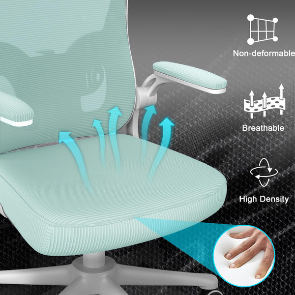 naspaluro Office Chair Ergonomic Desk with 90° Flip-up Armrest Lumbar Support, Height Adjustable Chair, Executive Swivel Computer Padded Seat Cushion for Home/Office