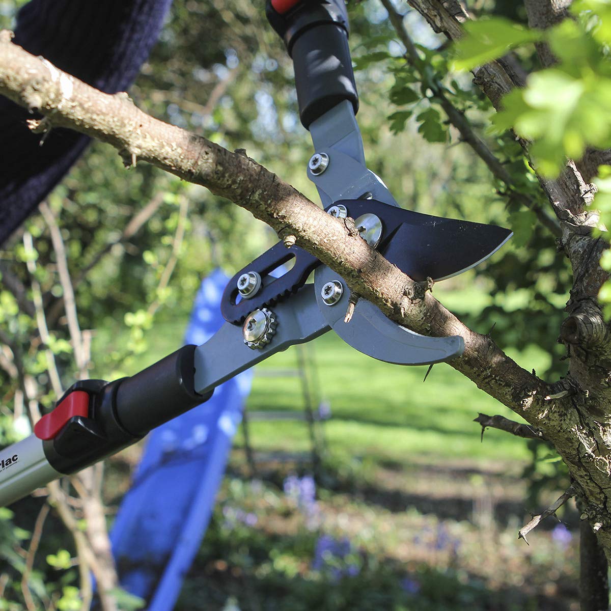 Darlac Telescopic Ratchet Lopper – Recommended by Professionals – Extendable Handles – Powerful Ratchet Action – 50mm Cut Capacity – Ideal for Gardeners with Dexterity Issues - SK5 Carbon Steel Blade