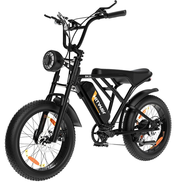 HITWAY Electric Bicycle, 20 * 4.0 inch Off-Road EBIKE for Adults with 250W Motor and 48V 15Ah/2 * 48V13Ah Battery, 7 Speed Snow Bike range 45-150 km