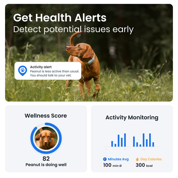 Tractive Smart Dog Tracker | 2025 Edition | Real-time GPS Tracking | Escape & Health Alerts | Vitals Monitoring | Market Leader (Black)