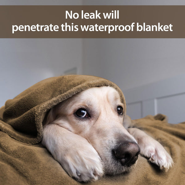 YISURE Waterproof Splash Blanket for Couples, Leakproof Squirt Love Blanket for Bed Intimacy, Waterproof Taupe King Size 90x80 (Brown/Tan)