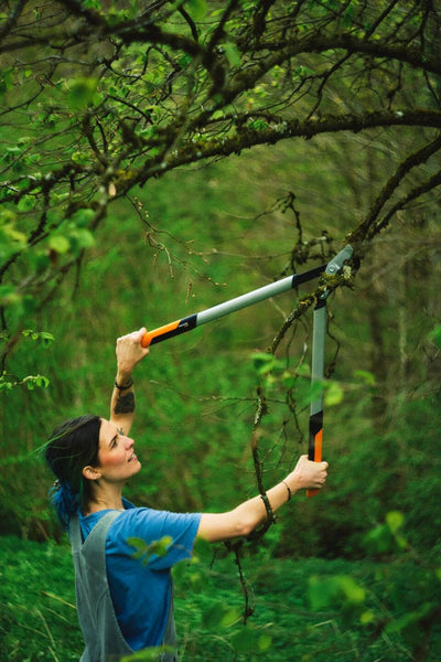 Fiskars PowerGear X Loppers Bypass L LX98, Fresh Wood Cutter with Sharp Blades, size L, Non-stick coating, Cutting diameter: 5 cm, Hardened steel,