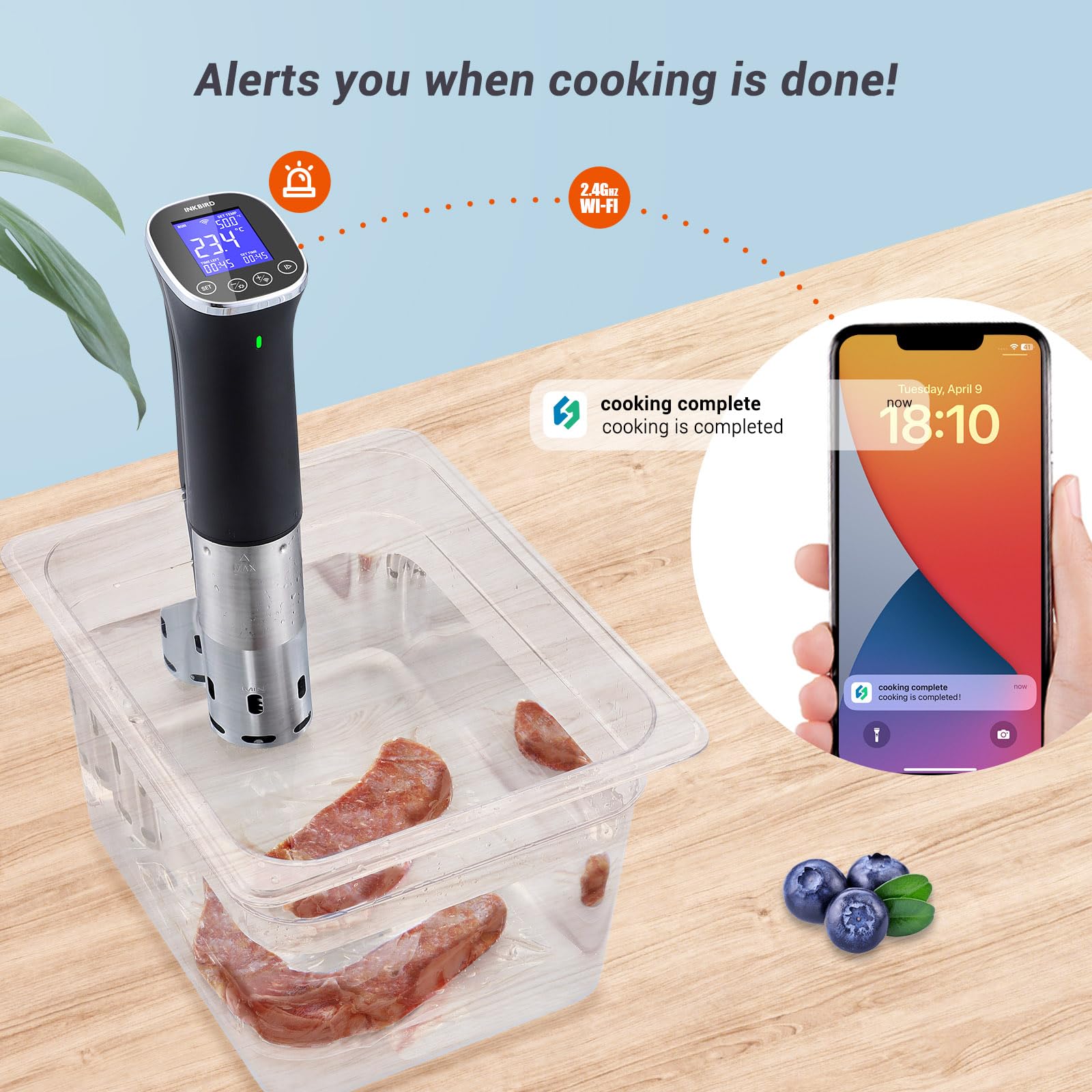 Inkbird ISV-300W Smart WiFi Sous Vide Cooker & Machine - IPX7 Waterproof Precision Temperature Control (0.1C), APP Remote with Recipes, 100H Timer,