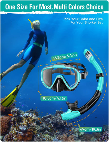 Lealinga Snorkel Set Adults Snorkel Mask Anti-Fog Panoramic View Diving Mask Dry Top Snorkel Kit with Travel Bag Diving Set for Snorkeling Scuba Diving Swimming Travel