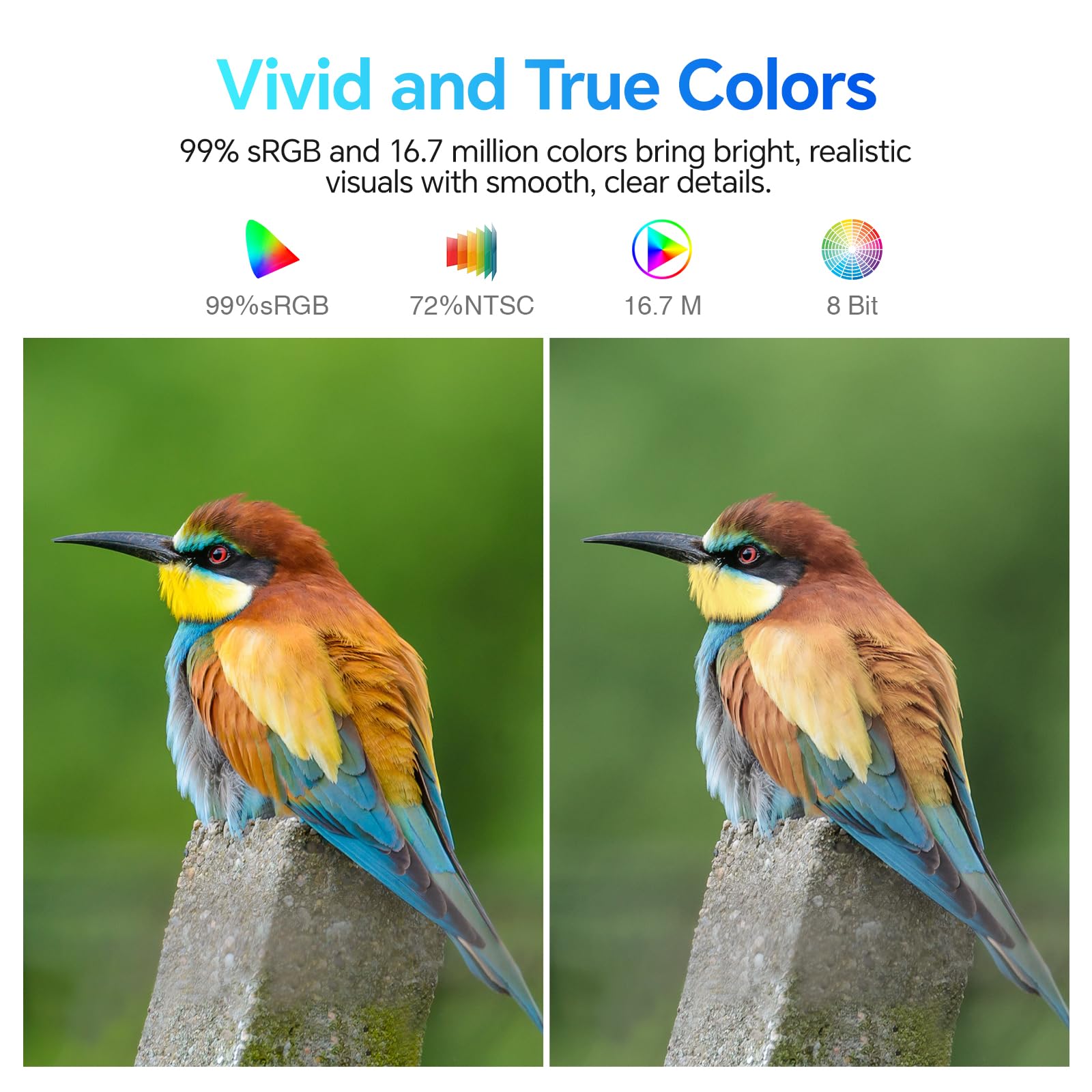 KOORUI E2711F 27 Inch FHD Monitor, Gaming 100Hz, IPS Computer Monitors, 1080P Pc Screen, Adaptive Sync, 5ms, VESA 100x100mm, Eye Care, HDMI, VGA