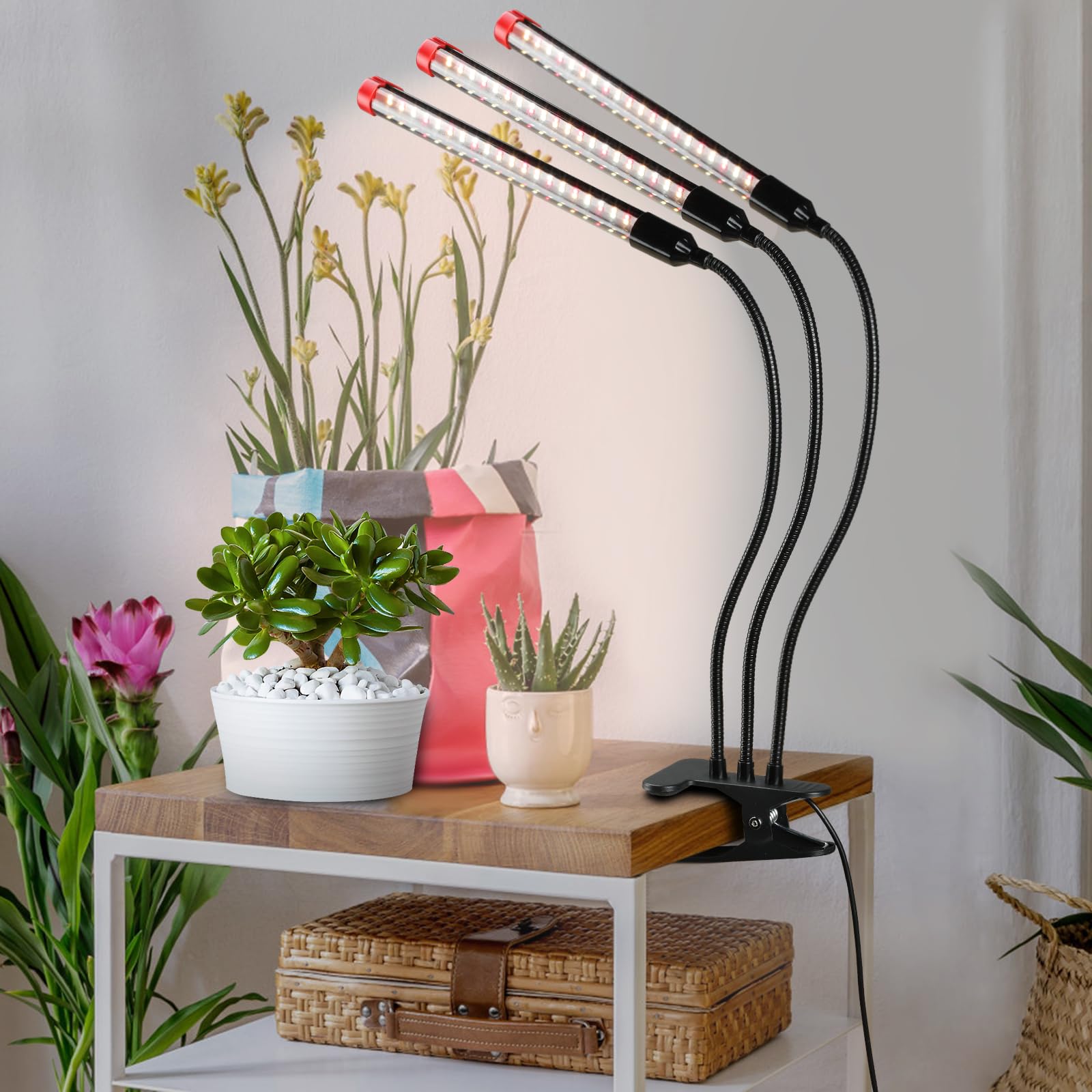FECiDA Clip Grow Lights for Indoor Plants 27W 3000 Lumen, 2024 Newest Brightest LED Light for Houseplants, Bonsai, Pot Plant, Full Spectrum Growing