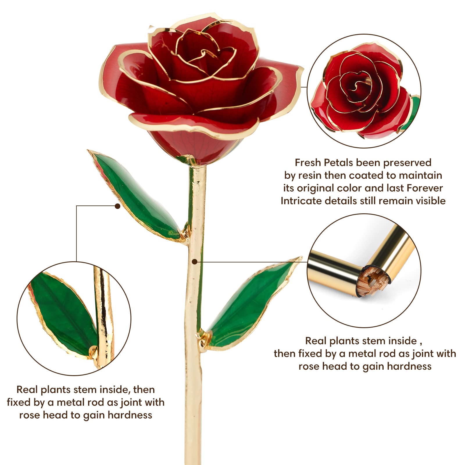 Ariceleo Gold Dipped Infinity Rose Last Forever Flower Decor, Birthday Gift for Women in Her Birthday Valentines Day Mothers Day, Resin Preserved Rose