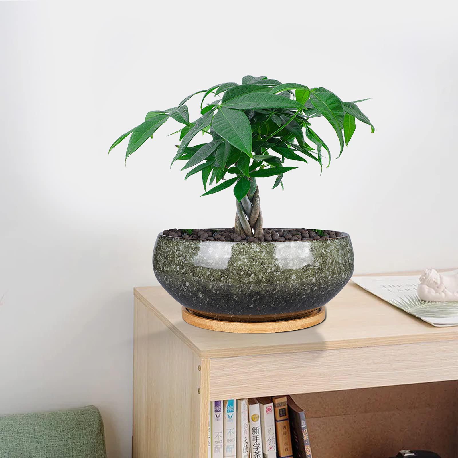 EPFamily 8 Inch Ceramic Bonsai Planter Pot, Glazed Shallow Succulent Planter with Drainage Hole and Bamboo Saucer for Indoor Plants, Green