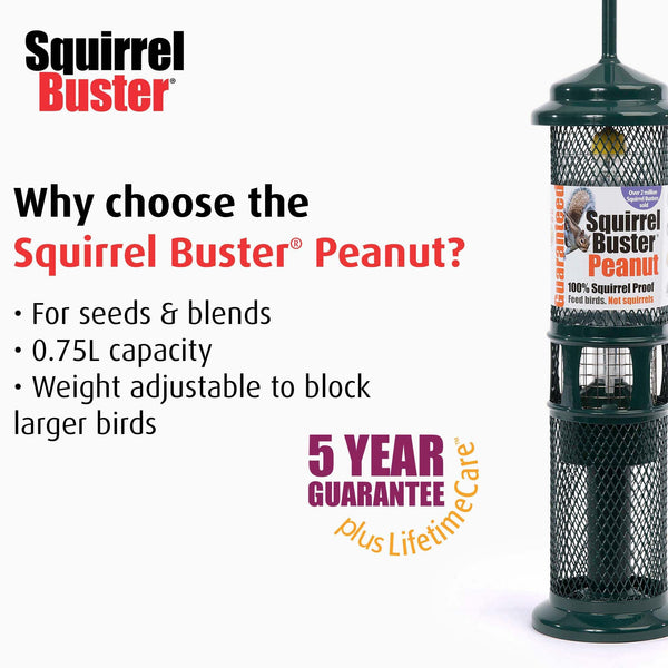Jacobi Jayne SB-PN Squirrel Proof Bird Feeder - Squirrel Buster Peanut - Marauders off! Guaranteed Squirrel and Large Bird Proof / Metal, Green