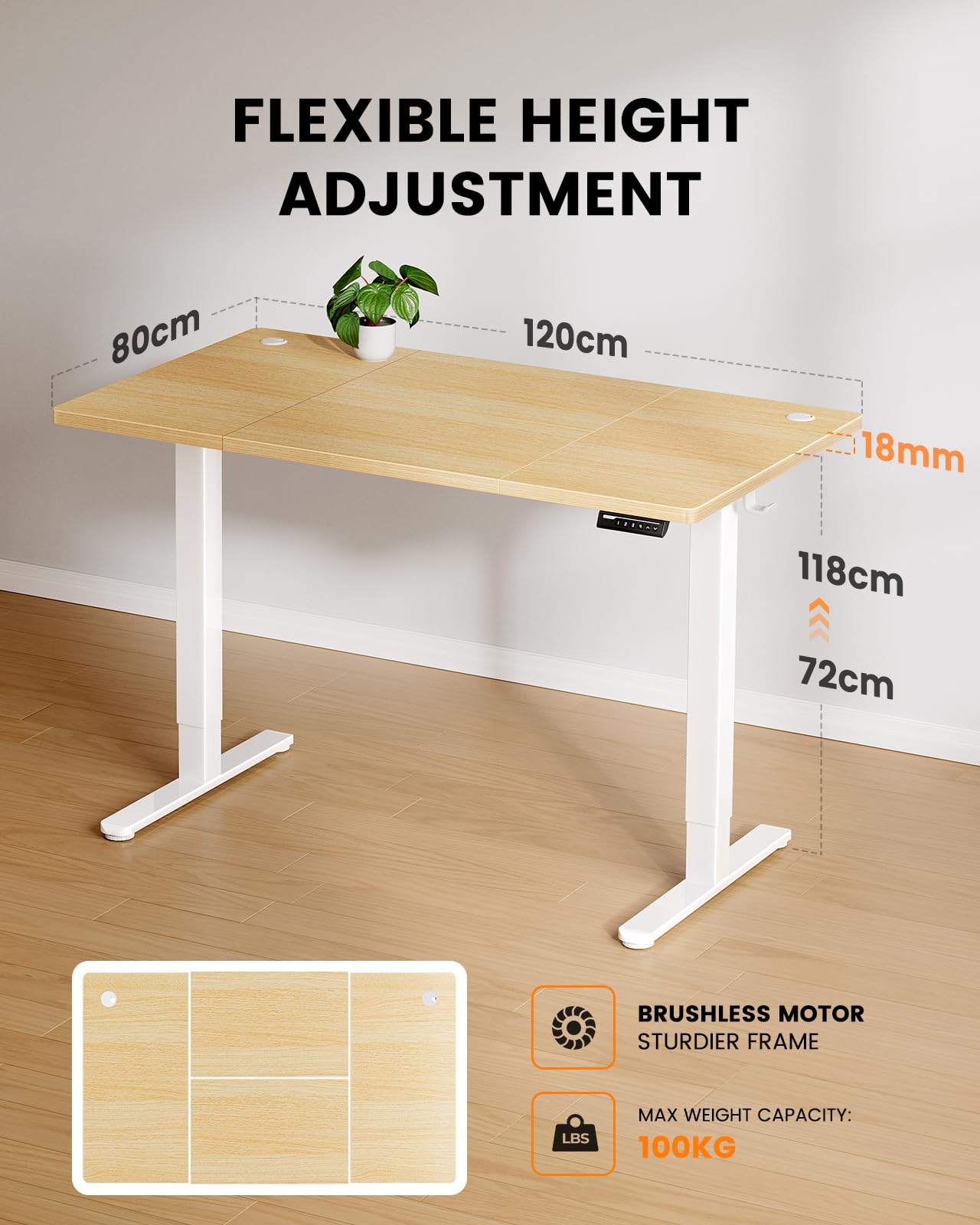 ErGear Electric Standing Desk-160 x 80 cm-100kg Load Capacity Height Adjustable Desk with Advanced Brushless Motor, Quiet Operation, Sturdy Metal Frame,Four-part Tabletop