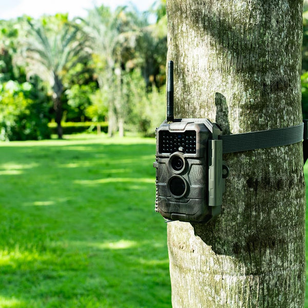 GardePro E7 WiFi Wildlife Camera, 64MP 1296P, Phone App, 100ft Night Vision, Game Cameras with Motion Activated Waterproof, for Hunting, Wildlife, Deer Camera