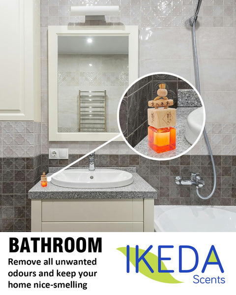 Car Air Fresheners for Men | Air Fresheners with Odour Eliminator Technology | Long Lasting Fragrance Car Accessories for Men | Strong Scents Perfume Diffusers (10ml Dark Night)