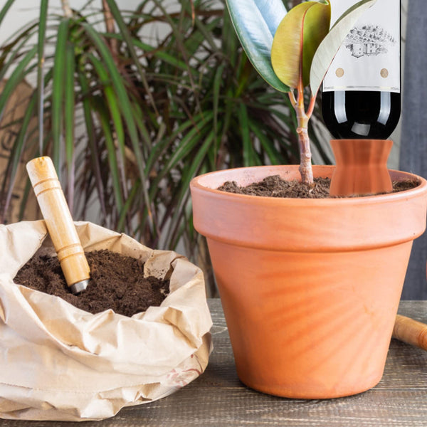 EXLECO Pack of 10 Clay Cones Watering Plants Watering Ball Plants Water Dispenser Clay Automatic Watering Indoor Plants Watering Cone Irrigation