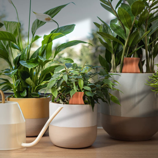 EXLECO Pack of 10 Clay Cones Watering Plants Watering Ball Plants Water Dispenser Clay Automatic Watering Indoor Plants Watering Cone Irrigation