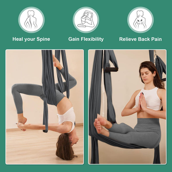 Leogreen Aerial Yoga Swing Set, Aerial Yoga Hammock Trapeze, Flying Antigravity Yoga, Max Load 660lb, for Inversion Exercise Pilates Gymnastics (Dark