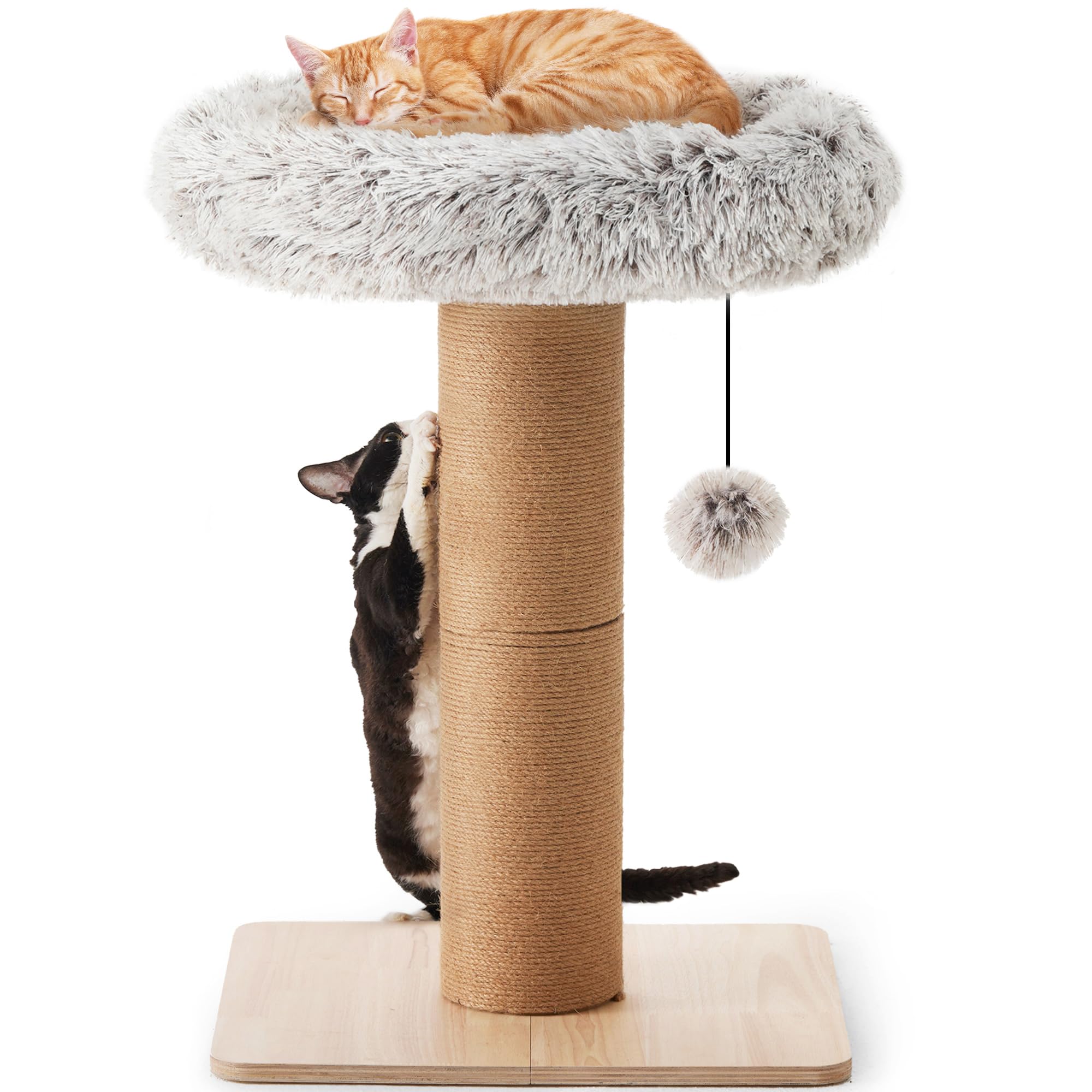 FUKUMARU Cat Scratching Post with Bed, Plant Style Kitten Scratcher, Solid Wood Post, Small Cat Tower Tree with Natural Jute Rope for Indoor Kitten &