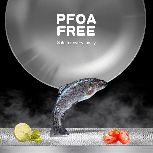 Inqibee 22 & 26 CM Tri-Ply Stainless Steel Frying Pan Set with Lid,Skillets,Induction Cooking Pans,Dishwasher and Oven Safe.