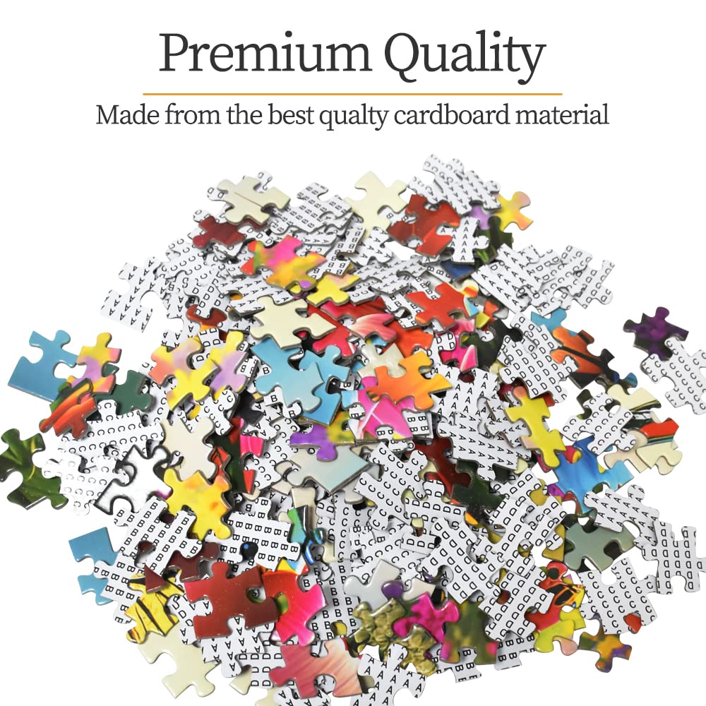 HUADADA Jigsaw Puzzles for Adults 1000 Piece Jigsaw Puzzles for Adults,JigsawPuzzle 1000 Pieces for Adults Challenging Puzzle Games ?Northern Lights in Norway