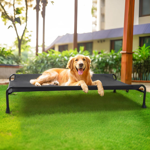 Veehoo Raised Dog Bed, Cooling Elevated Dog Bed for Large Dogs, Black, 119 x 81 x 19 cm (L x W x H), Rectangular, Guardrail, Sloped Headrest, Sturdy Frame Construction, Teslin Mesh