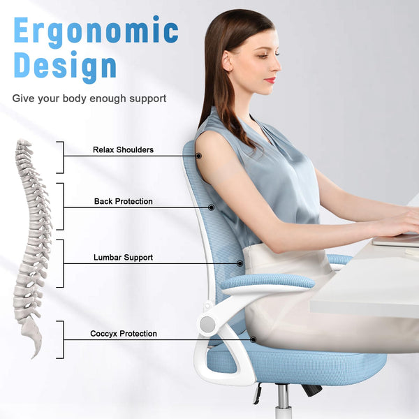 naspaluro Office Chair Ergonomic Desk with 90° Flip-up Armrest Lumbar Support, Height Adjustable Chair, Executive Swivel Computer Padded Seat Cushion for Home/Office