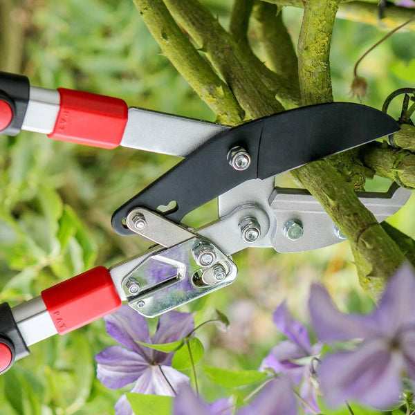 Darlac Telescopic Ratchet Lopper – Recommended by Professionals – Extendable Handles – Powerful Ratchet Action – 50mm Cut Capacity – Ideal for Gardeners with Dexterity Issues - SK5 Carbon Steel Blade