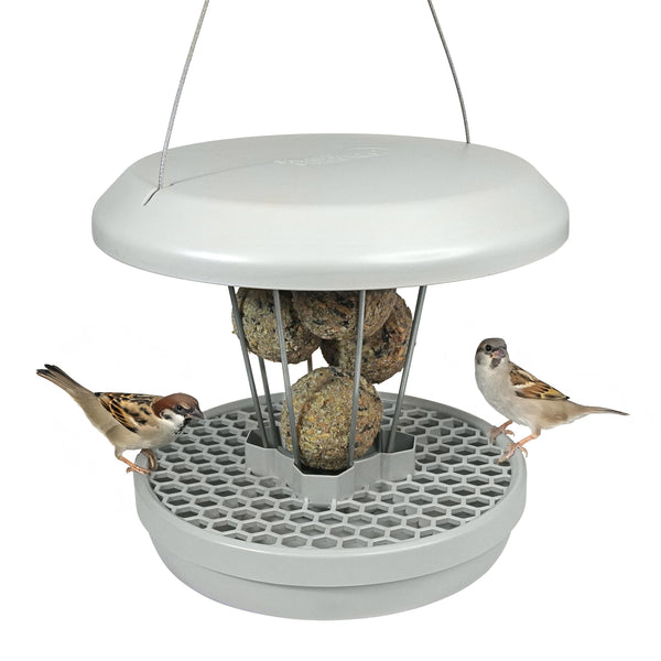 Smart Bird Feeder Lucerne | Hanging No Mess Station | Rat and Mouse Proof | Robin, Niger Seed Tray Catcher | Robust and Reliable | For Fat Balls |