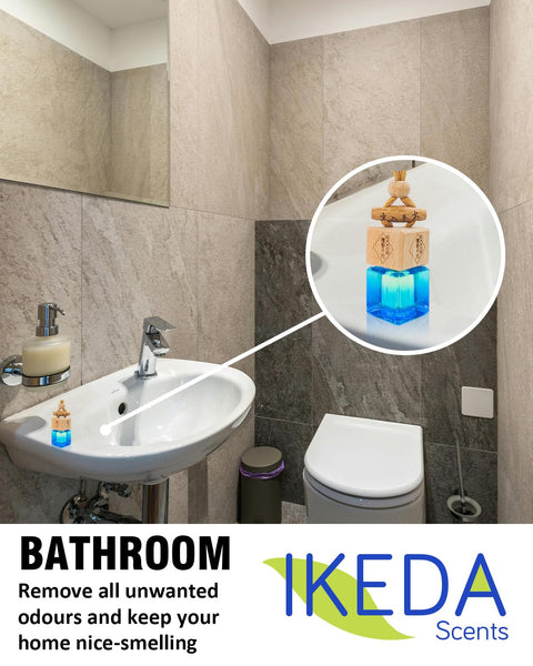 Car Air Fresheners for Men | Air Fresheners with Odour Eliminator Technology | Long Lasting Fragrance Car Accessories for Men | Strong Scents Perfume Diffusers (10ml Dark Night)