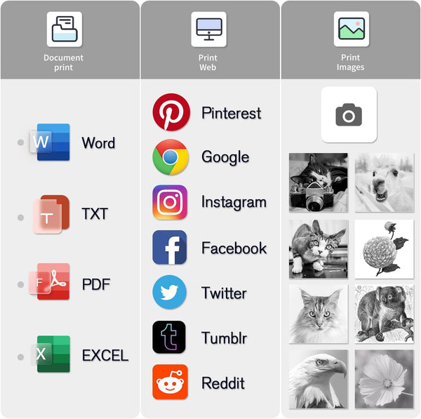 PLACHIDAY Portable Printer Wireless, 300DPI Small Wireless Bluetooth Inkless Thermal Printer A4 Travel Printer Multiple Sizes Thermal Paper Home Use (White)