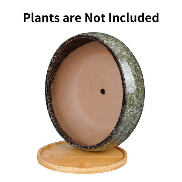 EPFamily 8 Inch Ceramic Bonsai Planter Pot, Glazed Shallow Succulent Planter with Drainage Hole and Bamboo Saucer for Indoor Plants, Green