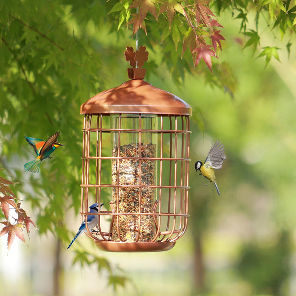 MIXXIDEA Metal Bird Feeders for Outdoors Hanging, Caged Tube Bird Feeder for Small Backyard Birds, Squirrel Proof Wild Bird Seed Feeders, Attracting Birds in Your Lawn, Garden,Green