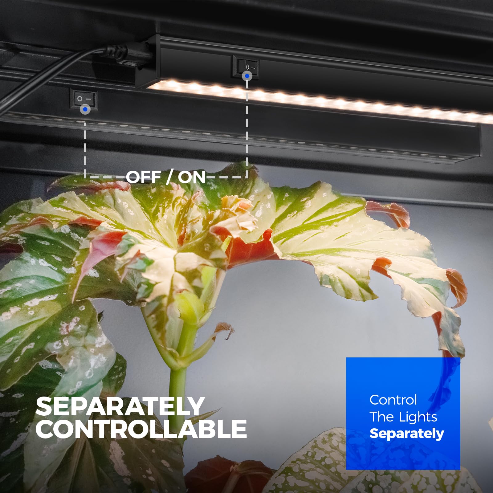 Barrina T5 1FT Grow Lights for Indoor Plants, Yellow Full Spectrum Plant Growing Lamps, 30W(6 x 5W), Magnetic Black Cover LED Grow Light Strip with