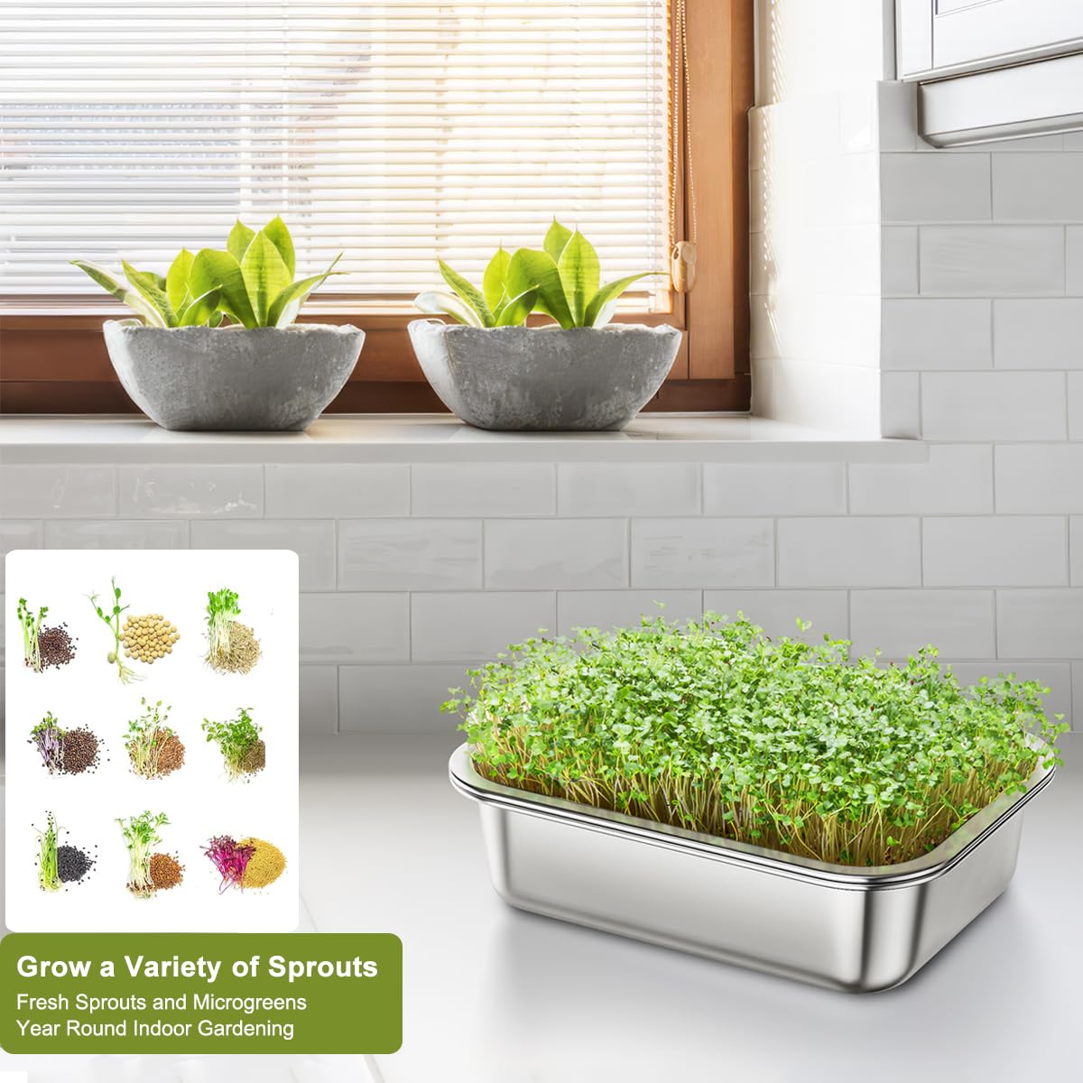 FANHAO 2-Pack Sprouting Tray Kit, Stainless Steel Soil-Free Cultivation Germination Tray, Healthy Wheatgrass Grower Sprouting Container Kit Nursery