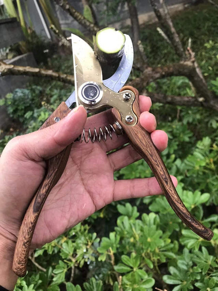 Horsvill Garden Shears, Pruning Scissors Made of Japanese SK4 Steel Blades, Garden Secateurs for Heavy Duty, Garden Snips and Flower Plants Clippers,