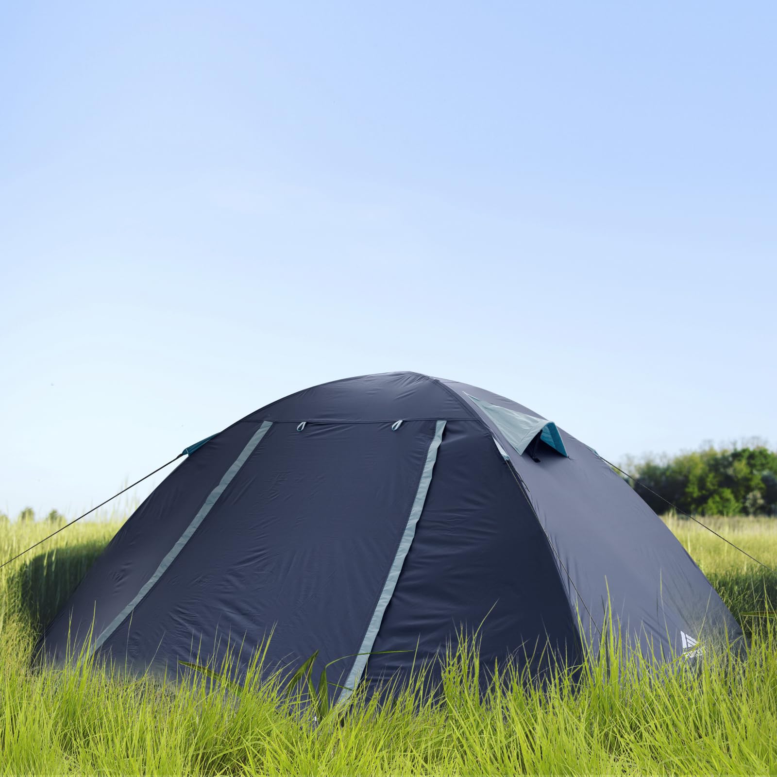 Forceatt Tent, 2-4 Man Tent for Camping, Easy Setup Lightweight Two Doors PU3000mm Waterproof Dome Tent, Windproof Instant Outdoor Tent Suitable for Traveling, Beach, Camping, Hiking, Mountaineering