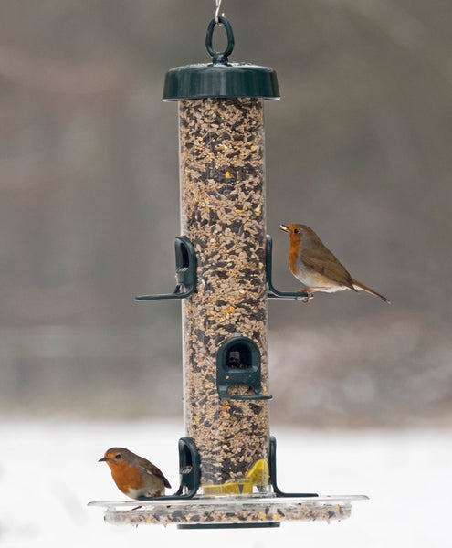 Hanging Bird Feeders for Small Birds - Jacobi Jayne? Bigeasy? Small Seed Bird Feeders for Wild And Garden Birds - Squirrel-Resistant Bird Feeder with