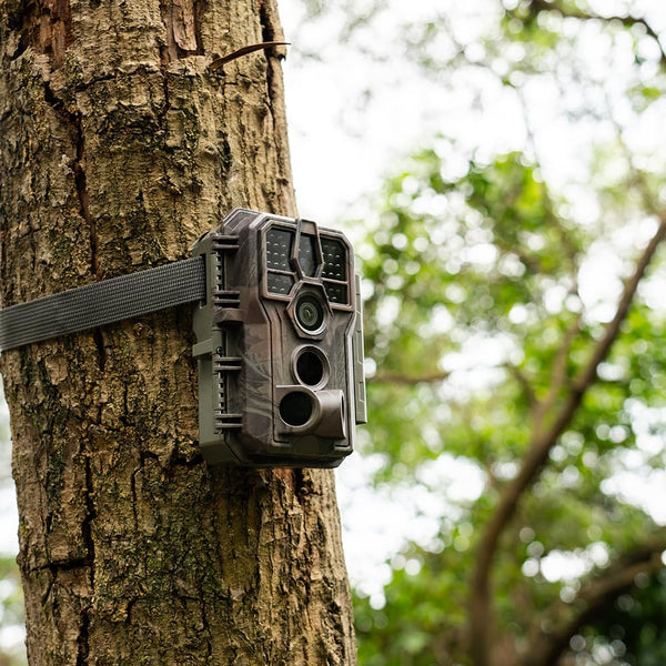 GardePro E5S Wildlife Camera, 64MP 1296p Trail Camera, H.264 Video, 100ft Night Vision, Ultra-fast 0.1s Motion Activated, Garden Camera Trap