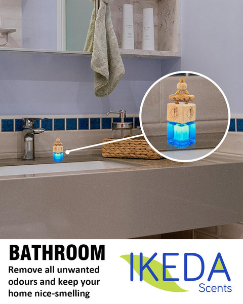 Car Air Fresheners for Men | Air Fresheners with Odour Eliminator Technology | Long Lasting Fragrance Car Accessories for Men | Strong Scents Perfume Diffusers (10ml Dark Night)