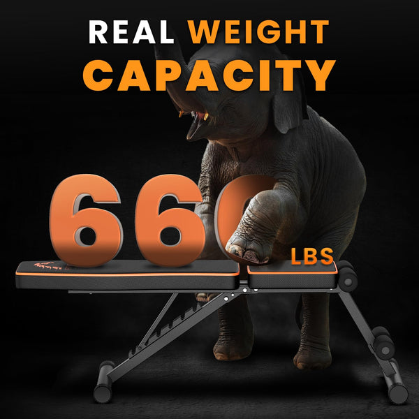 Dskeuzeew Weight Bench, 660 LB Stable Workout Bench, 8 Backrest Adjustments, Adjustable Strength Training Bench for Full Body Workout with Fast Folding