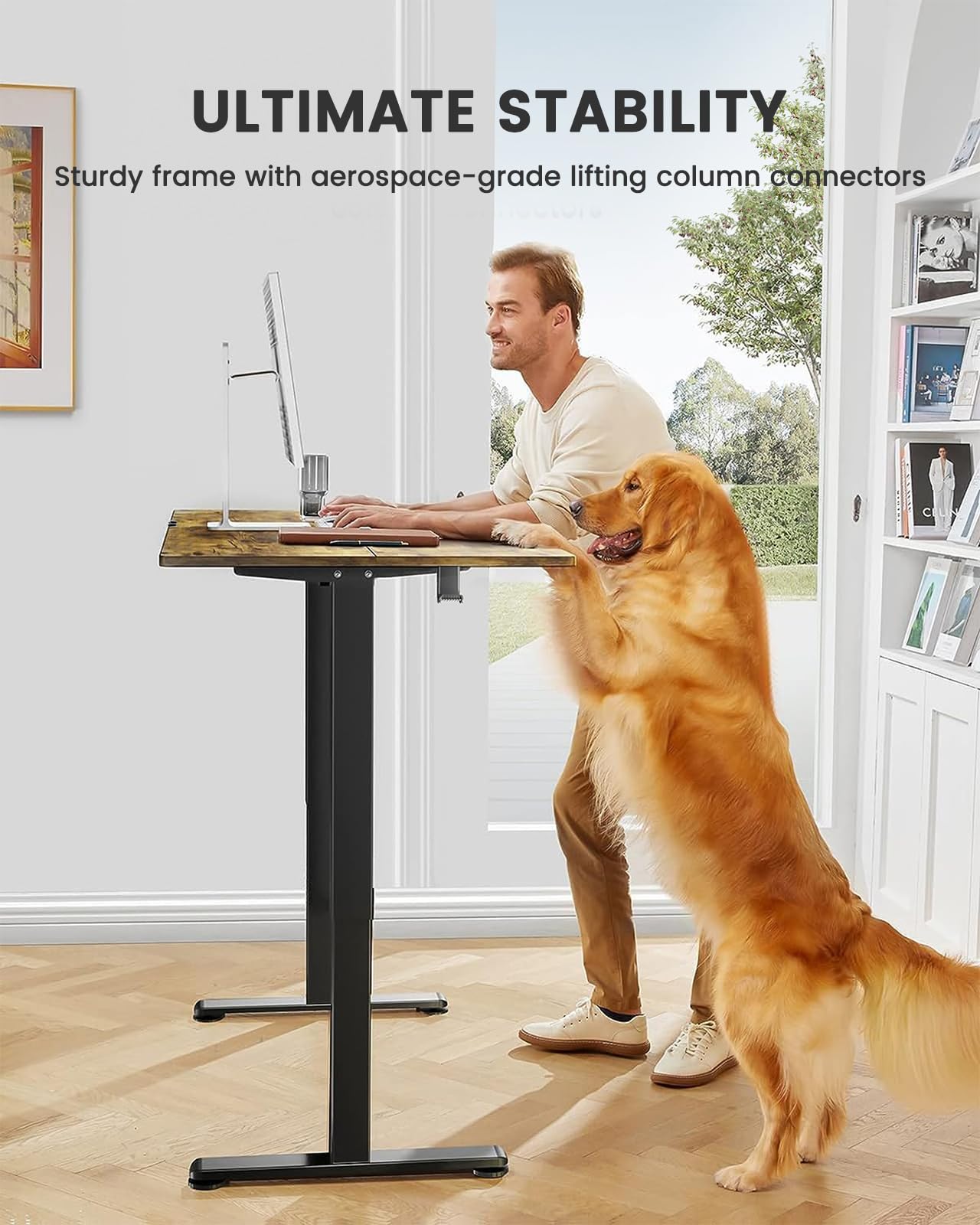 ErGear Electric Standing Desk Height Adjustable 120 x 60cm, Sit Stand Desk with 4 Memory Smart Pannel for Home Office with Splice Board