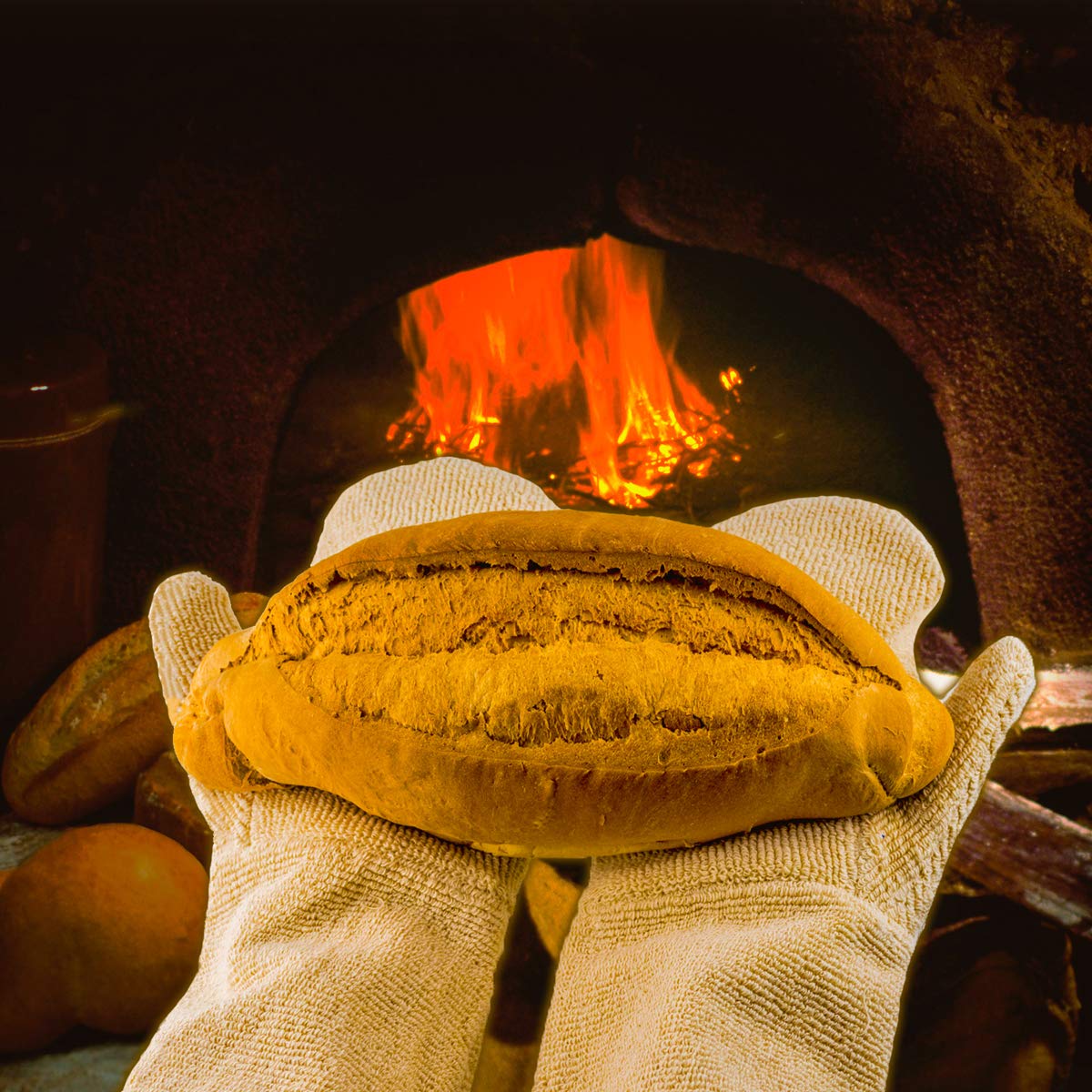 GOLDMAN SERVICE - /Professional Kitchen Oven Gloves, Thermal Heat Resistant 350?C. Protective Gloves for Barbecue at High Temperature