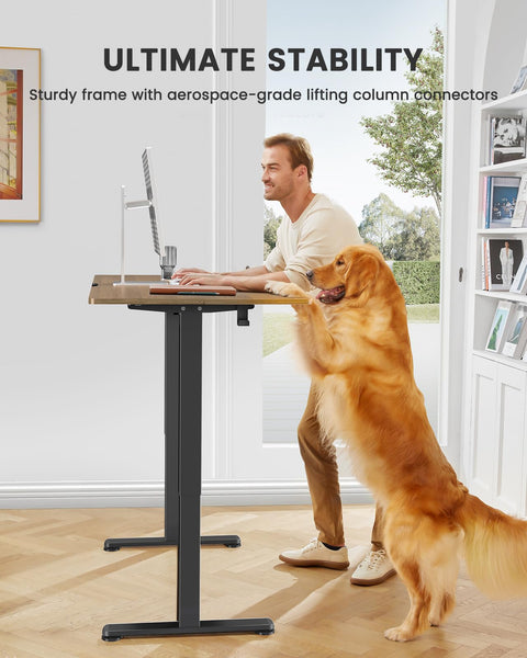ErGear Electric Standing Desk Height Adjustable 120 x 60cm, Sit Stand Desk with 4 Memory Smart Pannel for Home Office with Splice Board