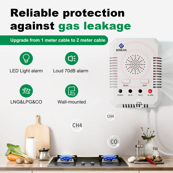 2 in 1 Carbon Monoxide Detector and Natural Gas Detector, Upgrade 2M Cable Wall-mounted CO Alarm with 2 Sensors for Home Kitchen, Gas Leak Detector with 10 Years Sensor Life