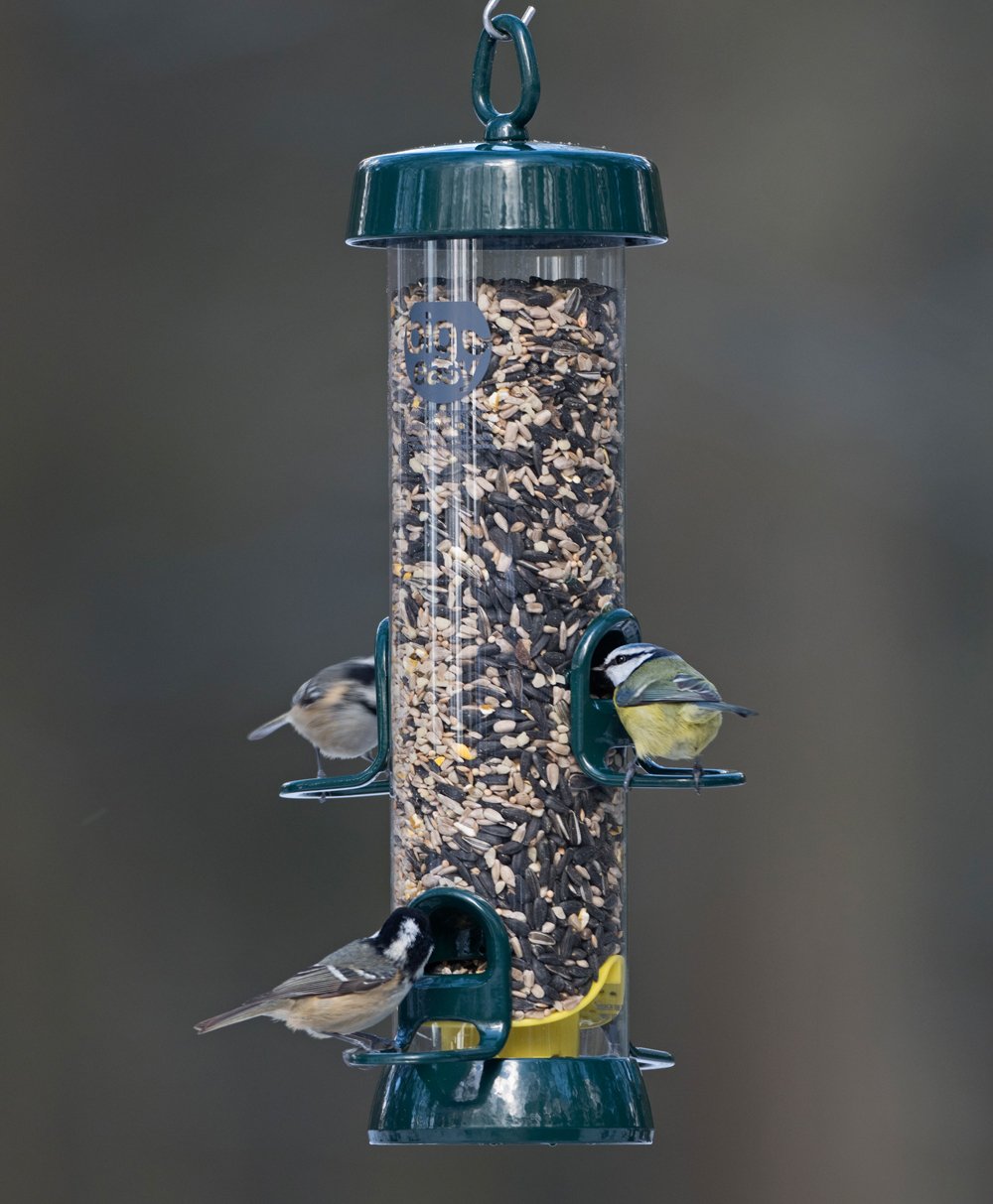 Hanging Bird Feeders For Small Birds - Jacobi Jayne? Bigeasy? Medium Seed Bird Feeders For Wild And Garden Birds - Squirrel-Resistant Bird Feeder With